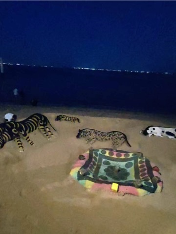 Beach art animals